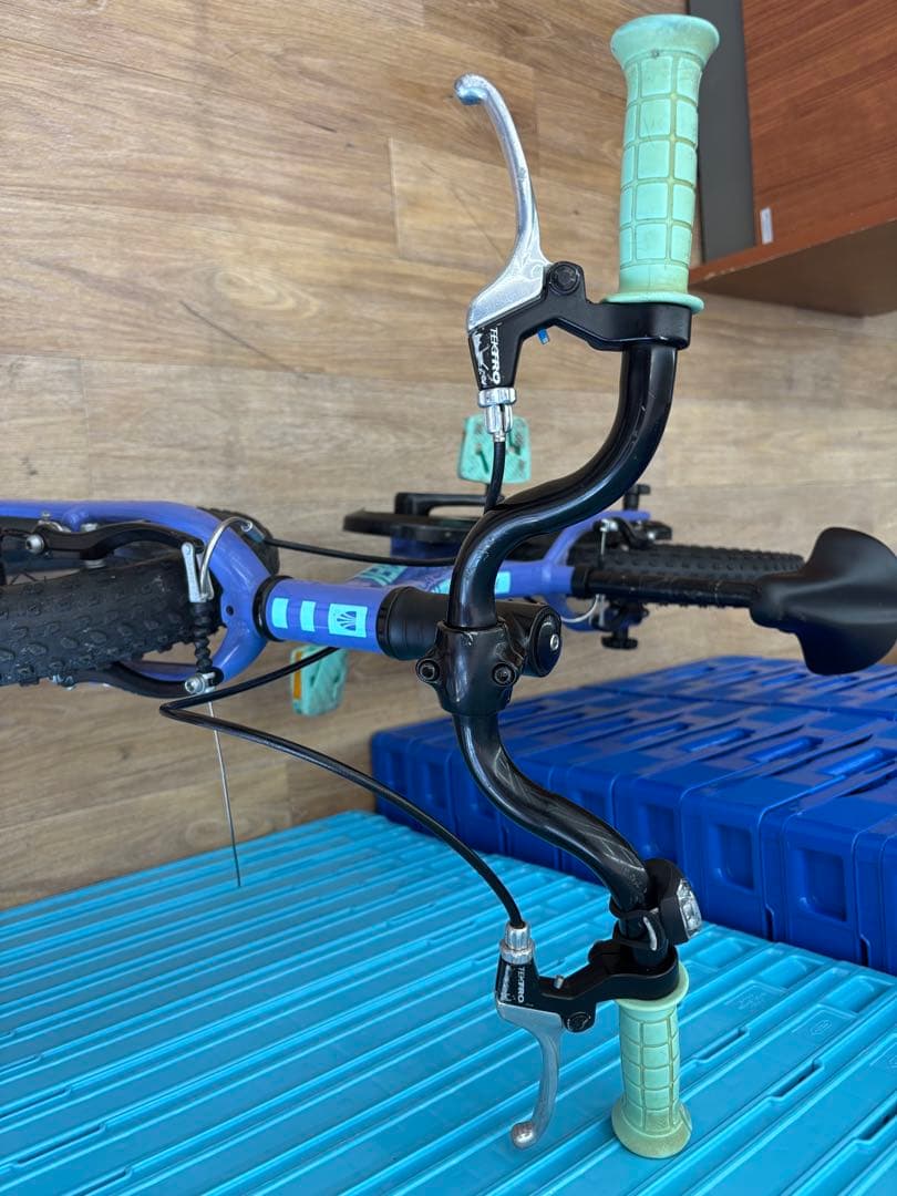 TREK Precaliber 16インチ キッズバイク