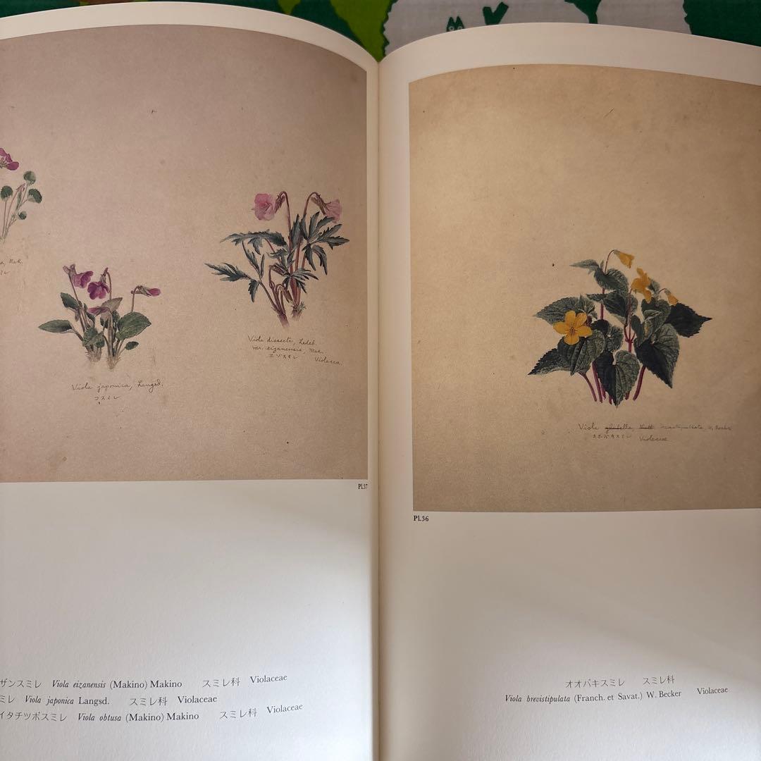 日本山草図譜