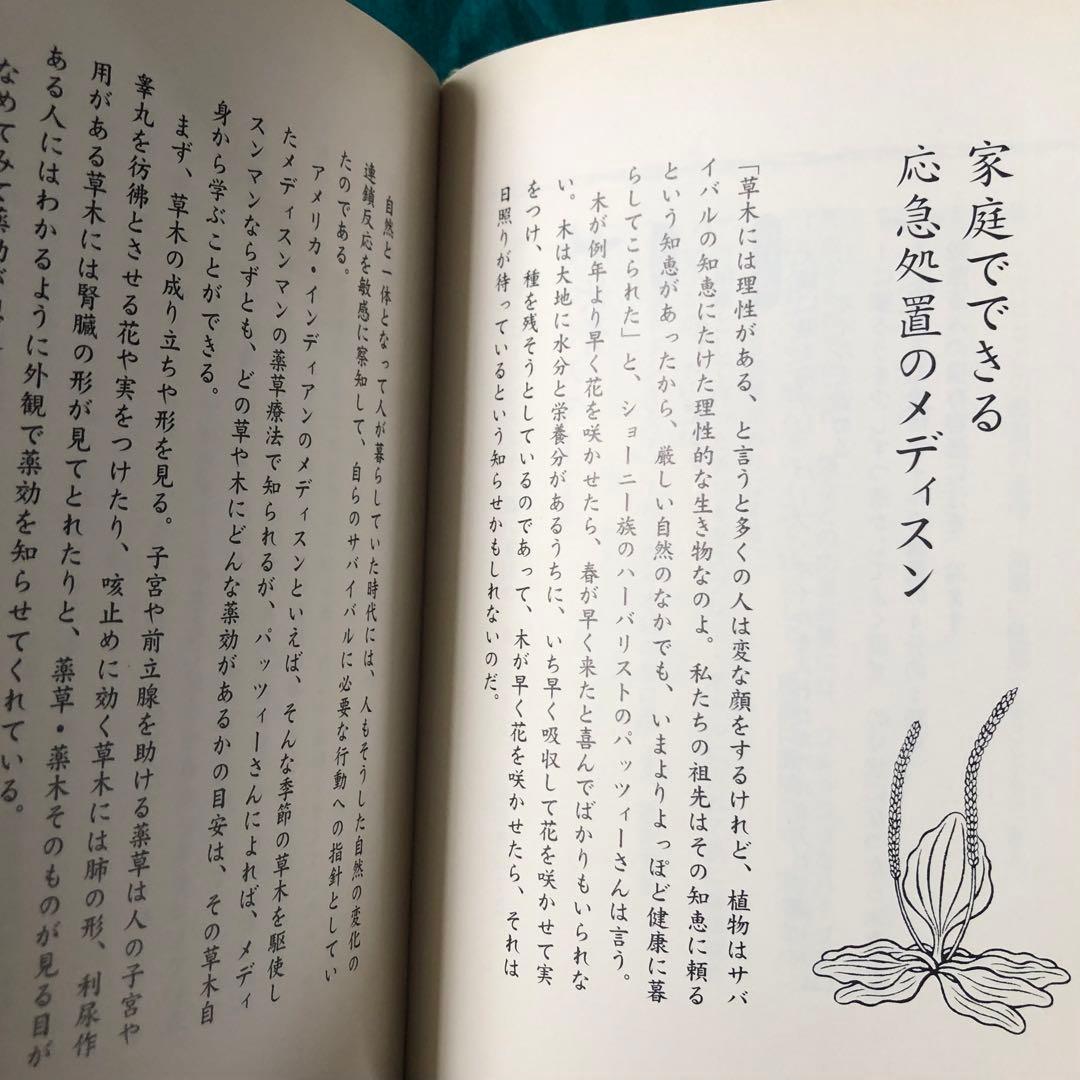 【絶版・希少】アメリカ・インディアンの心もからだもきれいになる教え　エリコ・ロウ