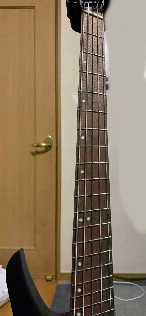 HEX NB505 ヘッドレス5弦ベース