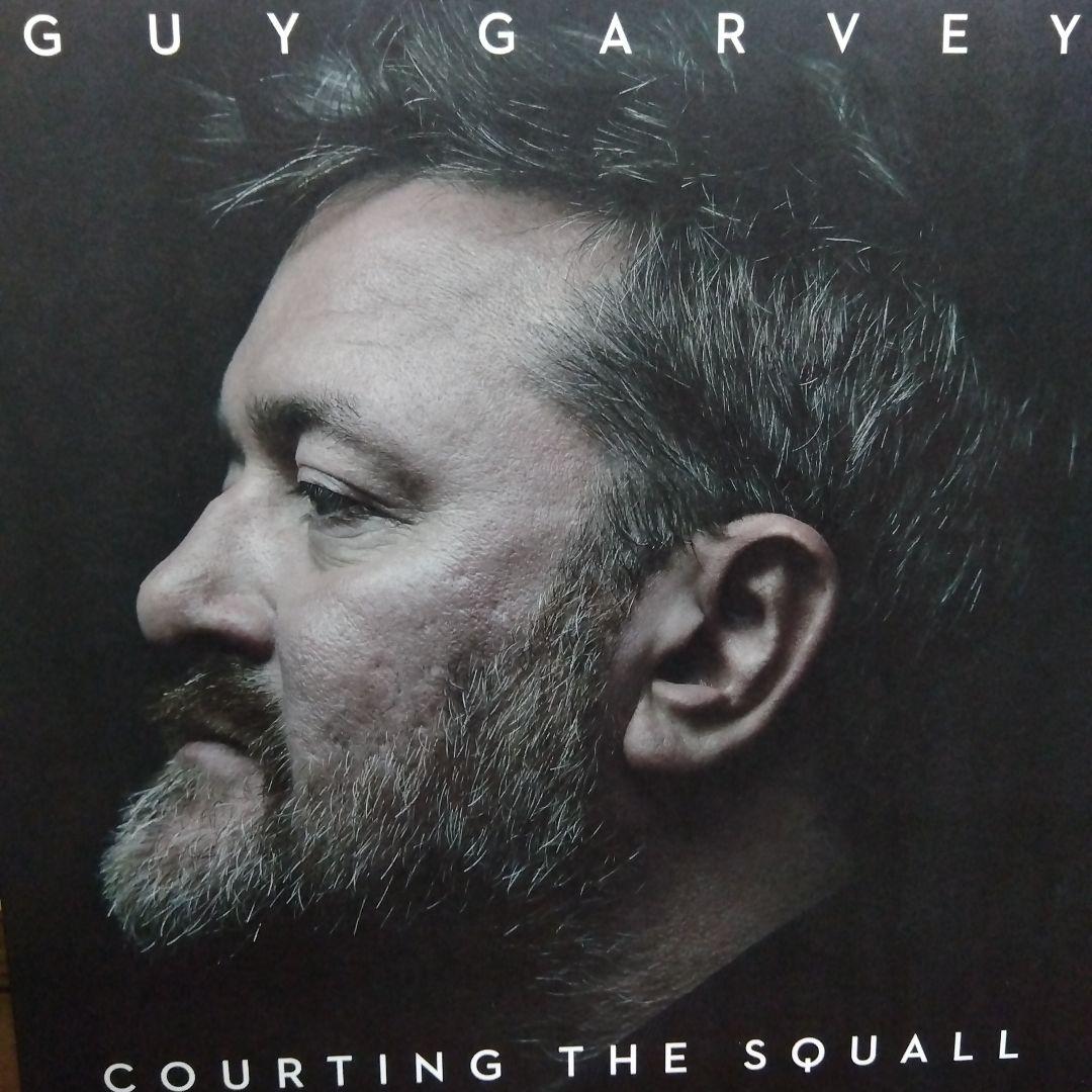 elbow • guy garvey 良盤 LPレコード2枚セット