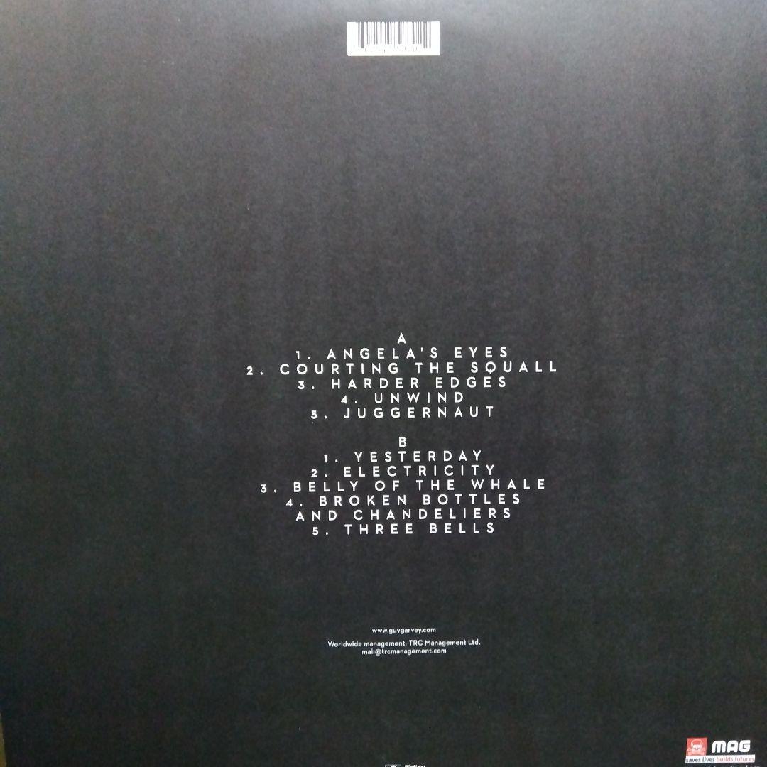 elbow • guy garvey 良盤 LPレコード2枚セット