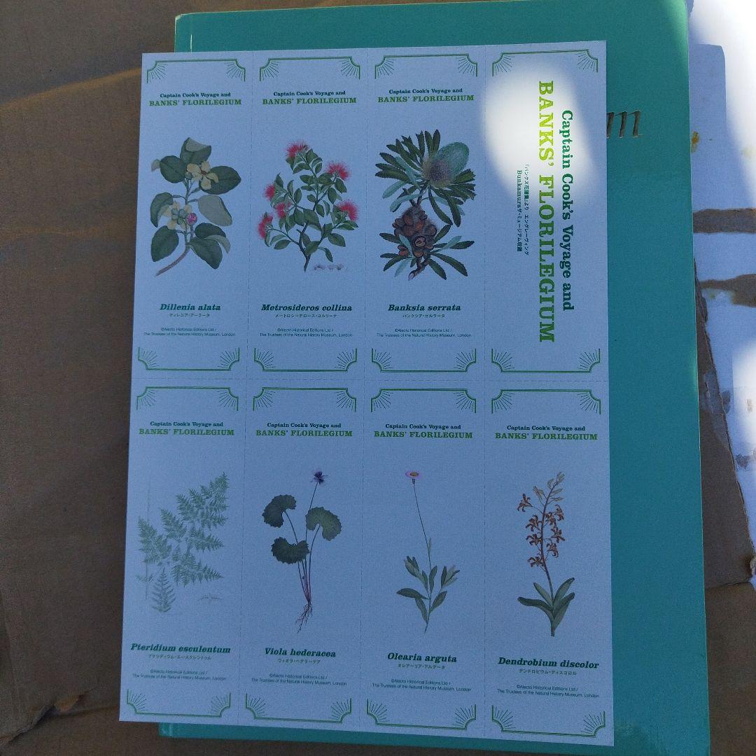 趣味・スポーツ・実用 Cook's Voyages and Banks' Florilegium