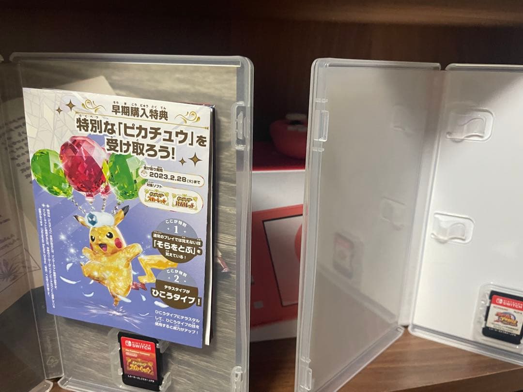 Switch Lite ソフト2つ