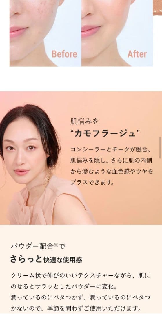 ブリリアージュ カモフラージュコンシーラーチーク 01 ＆ワイドフィンガーブラシ