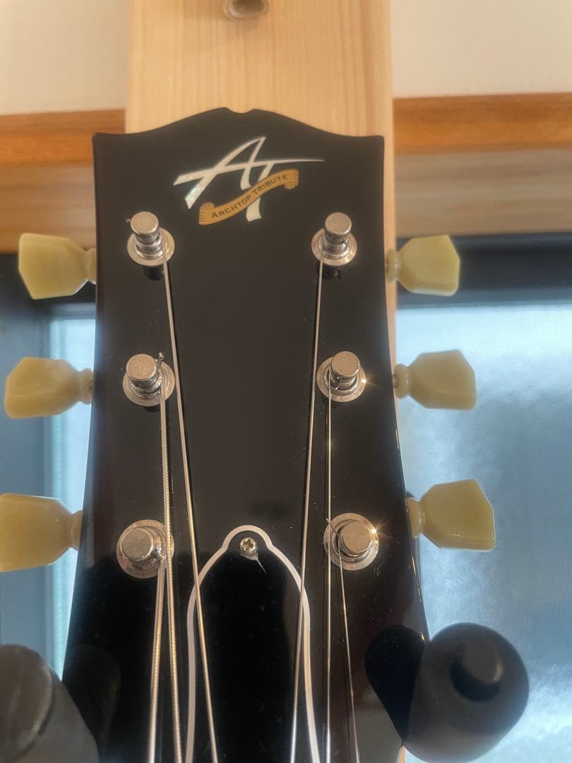 ギター Archtop Tribute AT135STP
