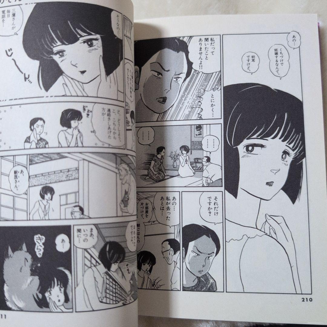 めぞん一刻