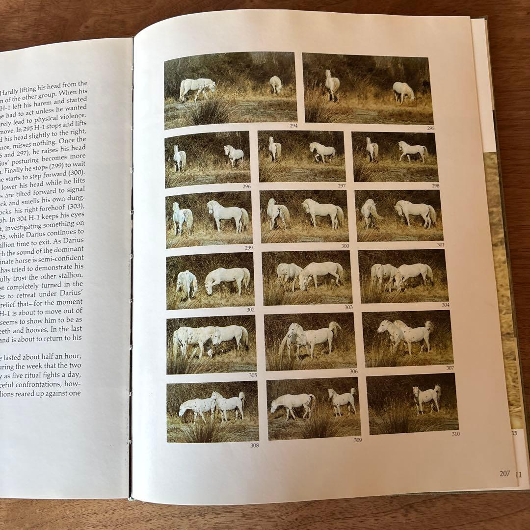 洋書 Such Is the Real Nature of Horses