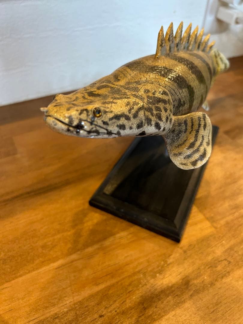 美品　34cmポリプテルス　フィギュア　レプリカ　fish craft REAL