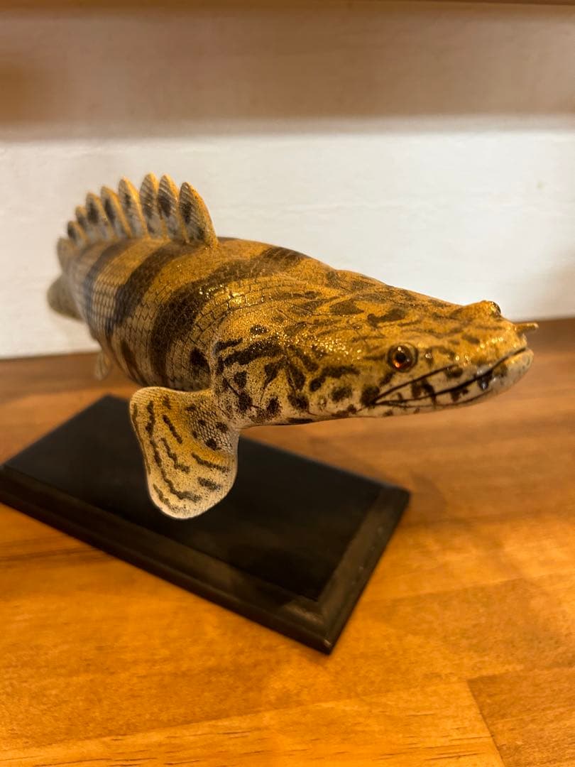 美品　34cmポリプテルス　フィギュア　レプリカ　fish craft REAL