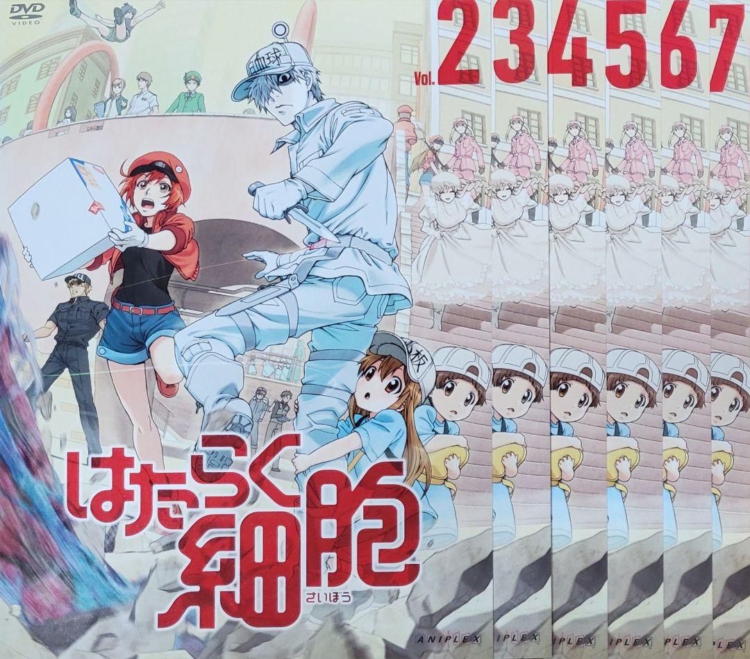 はたらく細胞 DVD レンタル落ち 全7巻