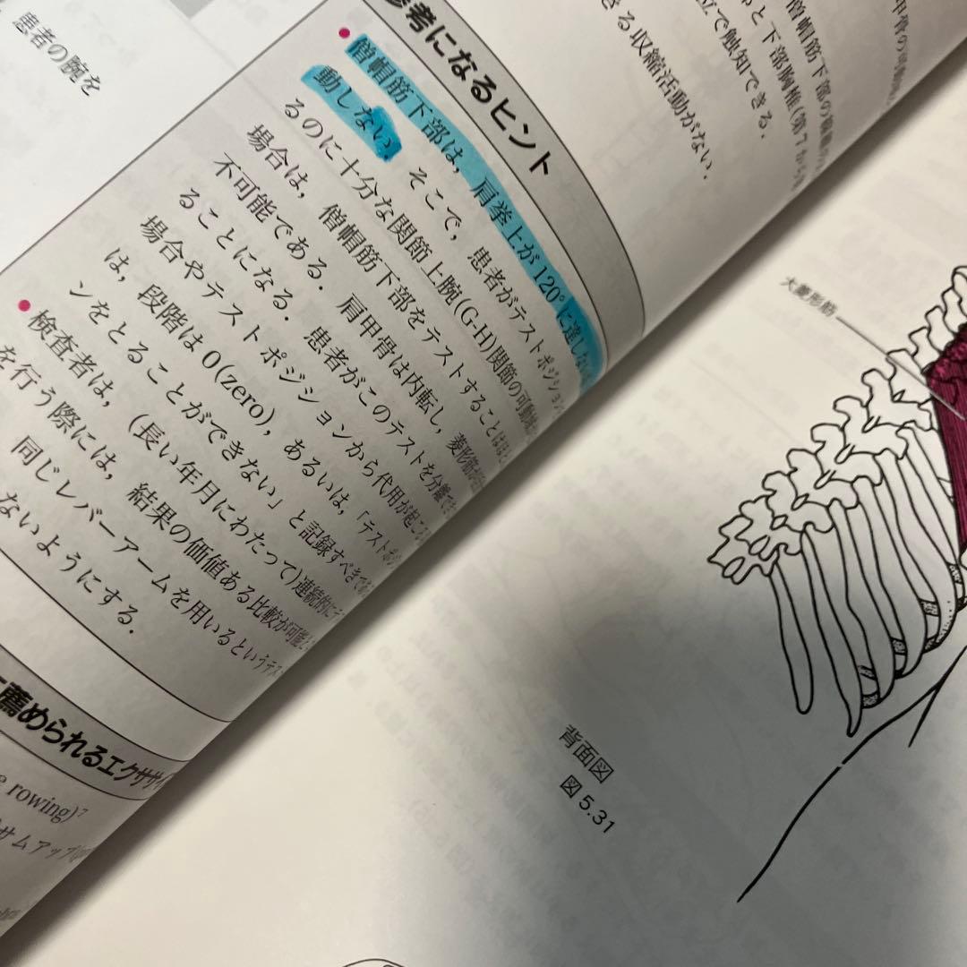 新・徒手筋力検査法原著第10版