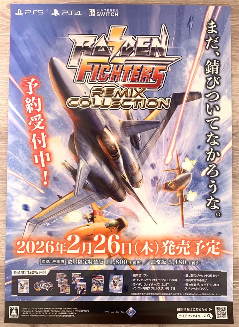ライデンファイターズ ポスター ダミジャケ