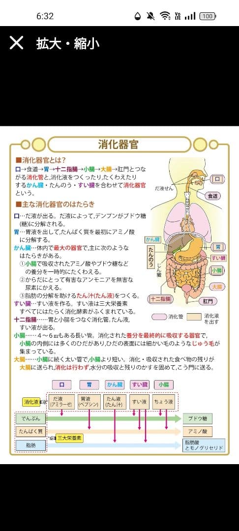 中学受験・頻出用語・ポイントにしぼったまとめカードとよく出る歴史人物