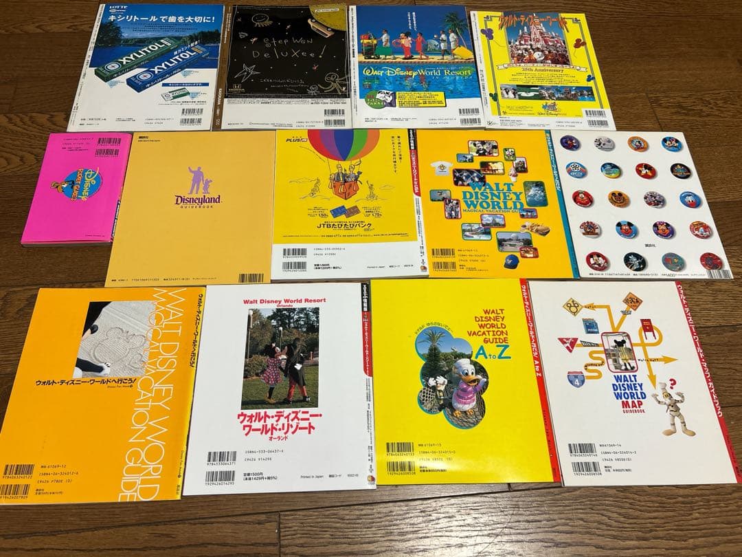 ウォルトディズニーワールド　ディズニークルーズ　ディズニーランド　ガイドブック