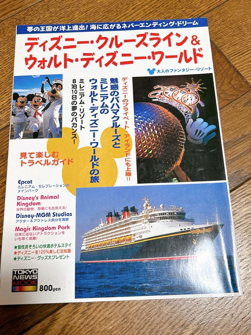 ウォルトディズニーワールド　ディズニークルーズ　ディズニーランド　ガイドブック