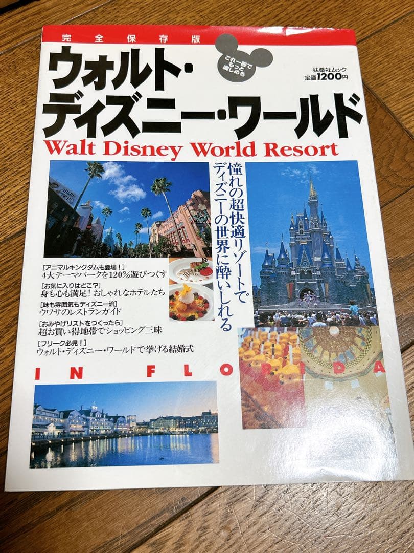 ウォルトディズニーワールド　ディズニークルーズ　ディズニーランド　ガイドブック