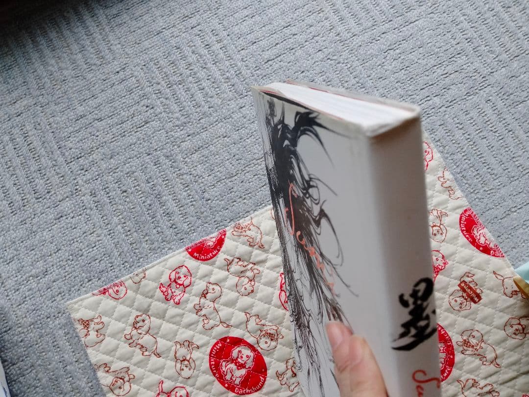 バガボンド画集『墨』　井上 雄彦　傷みあり