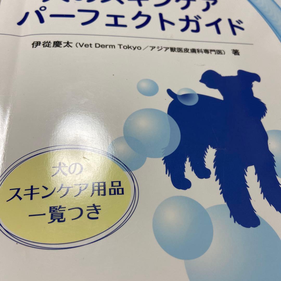 犬のスキンケアパーフェクトガイド