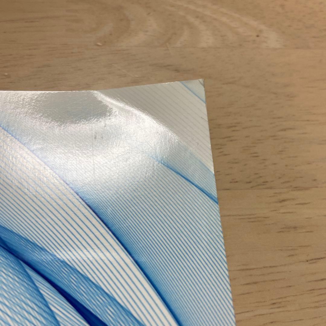 犬のスキンケアパーフェクトガイド
