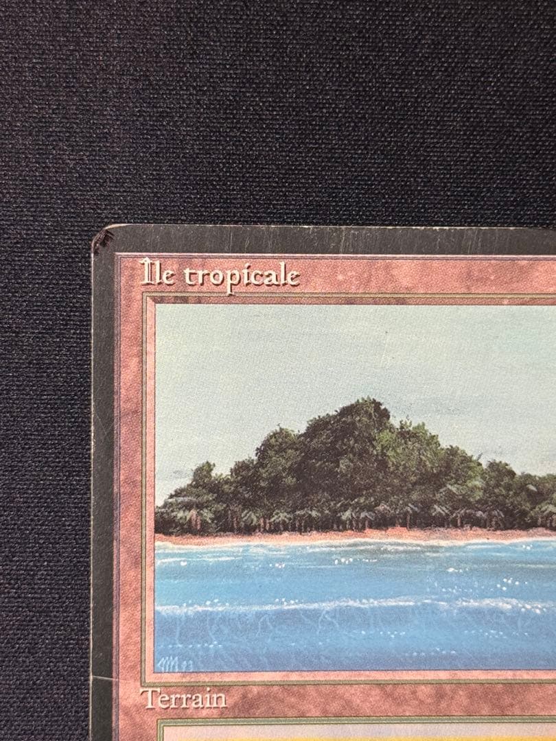 tropical  フランス語　黒枠　インクド②
