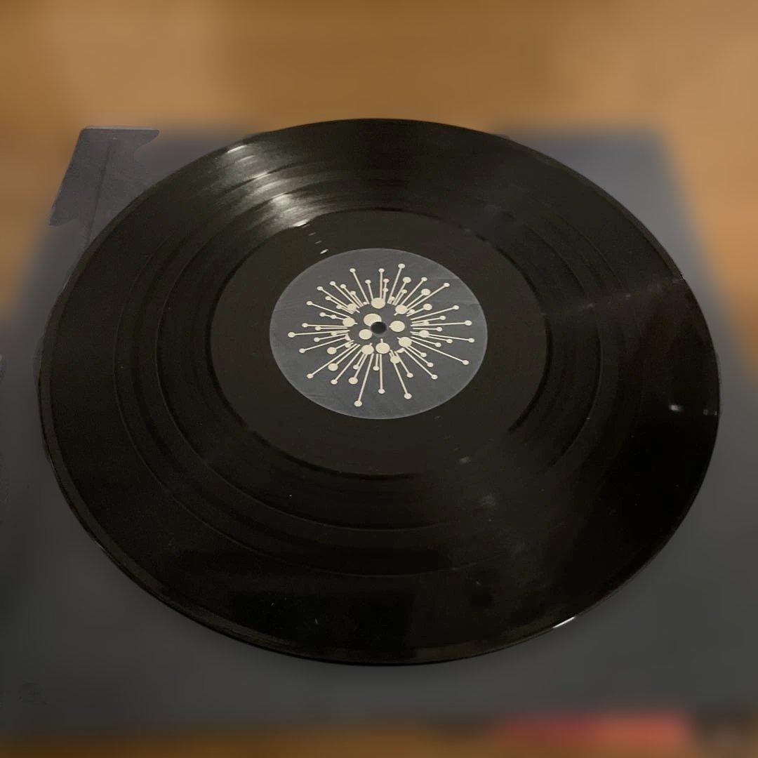 洋楽 Submotion Orchestra / Alium 2LP