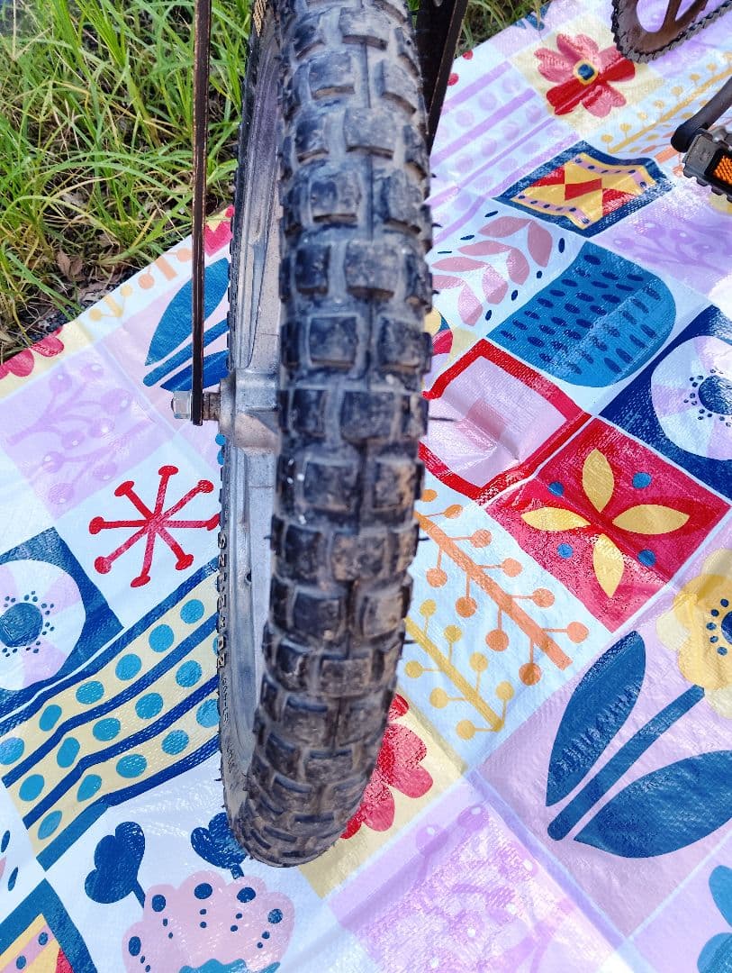 bmx matthews motomagⅡ　ms