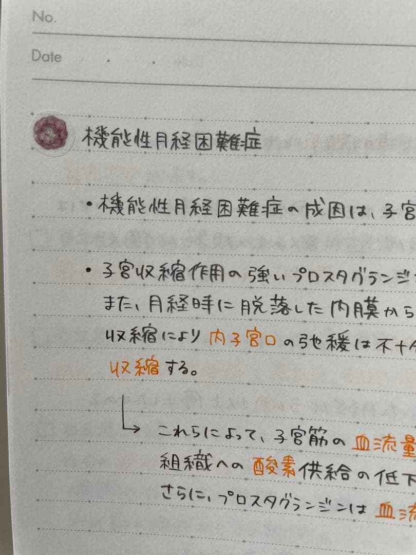 助産師学校受験対策　まとめノート　【母性】【小児】【基礎看護】