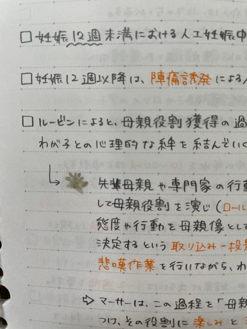 助産師学校受験対策　まとめノート　【母性】【小児】【基礎看護】