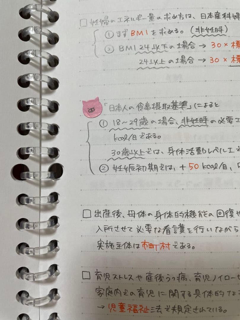 助産師学校受験対策　まとめノート　【母性】【小児】【基礎看護】