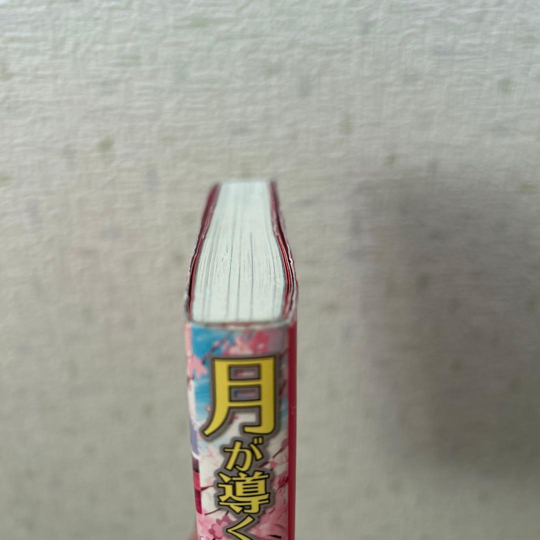 月が導く異世界道中 6〜19巻 小説 8.5巻あり