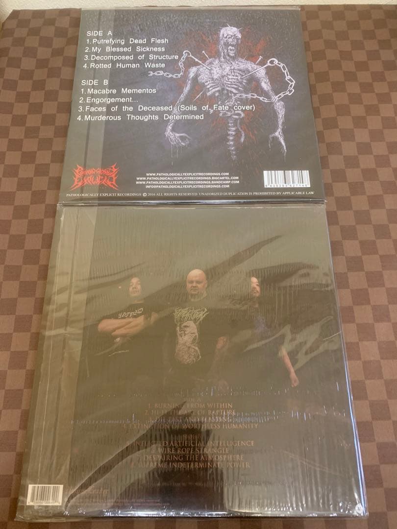 Vomit Remnants レコード 2枚セット