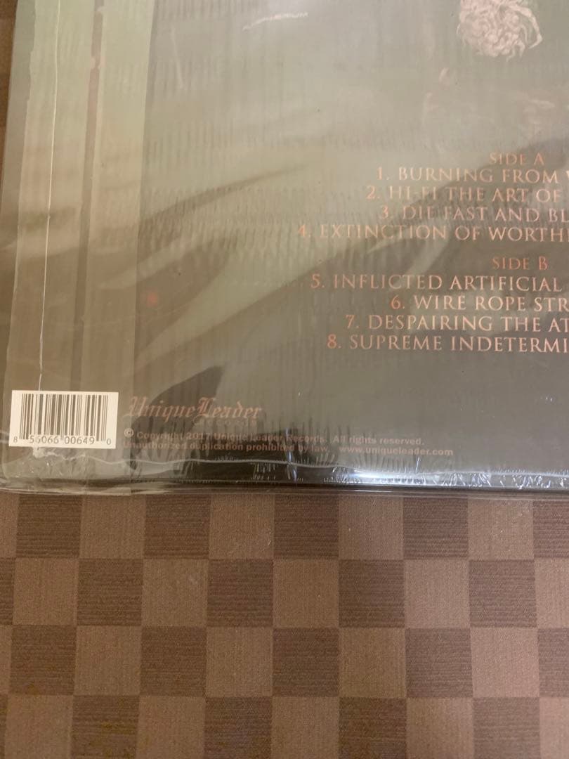 Vomit Remnants レコード 2枚セット