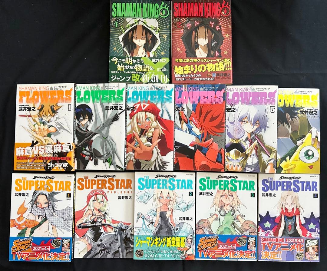 シャーマンキング 完全版 全巻セット ＋ 関連本セット 武井宏之