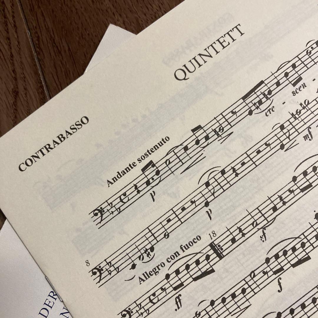 アート・デザイン・音楽 HERMANN GOETZ/ QUINTET c mool Op.16