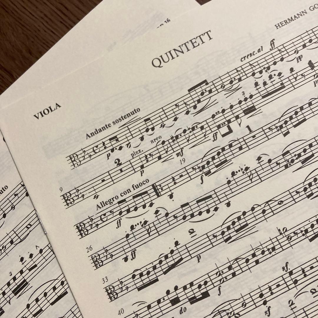 アート・デザイン・音楽 HERMANN GOETZ/ QUINTET c mool Op.16