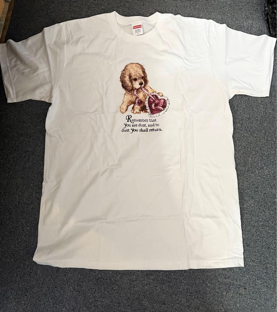 Supreme Dust Tee 白