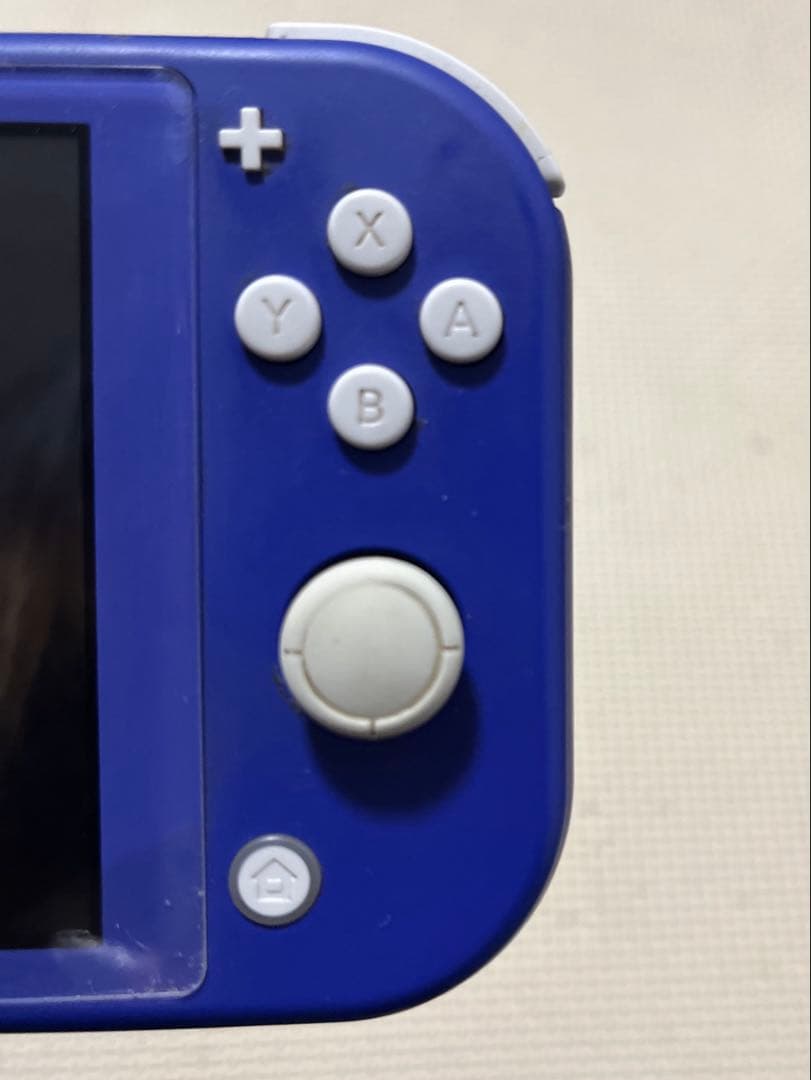 Switch ライト ジャンク品 SDカード付き