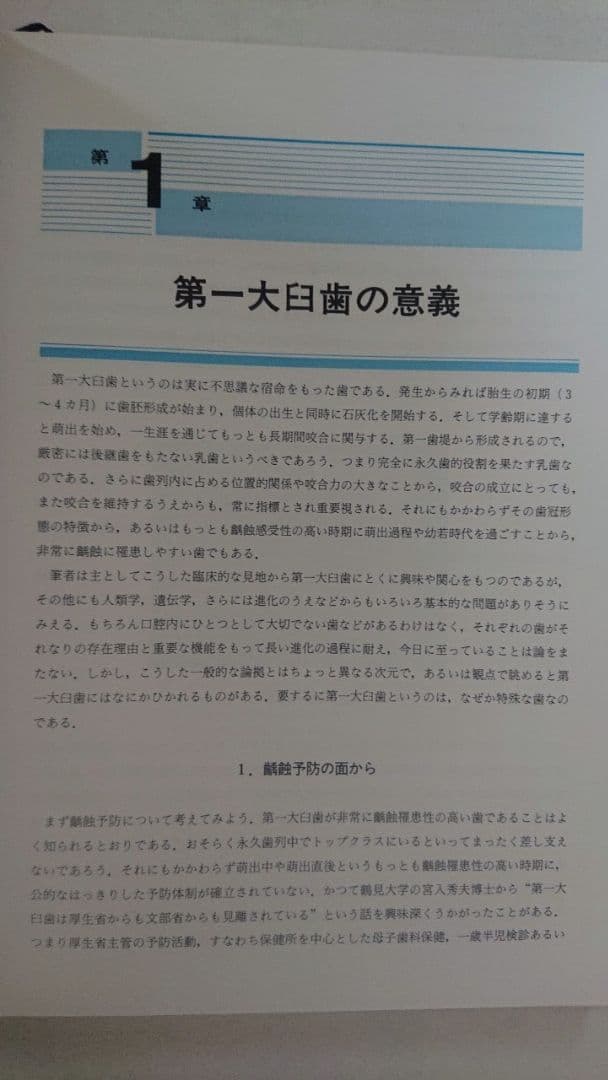 第一大臼歯