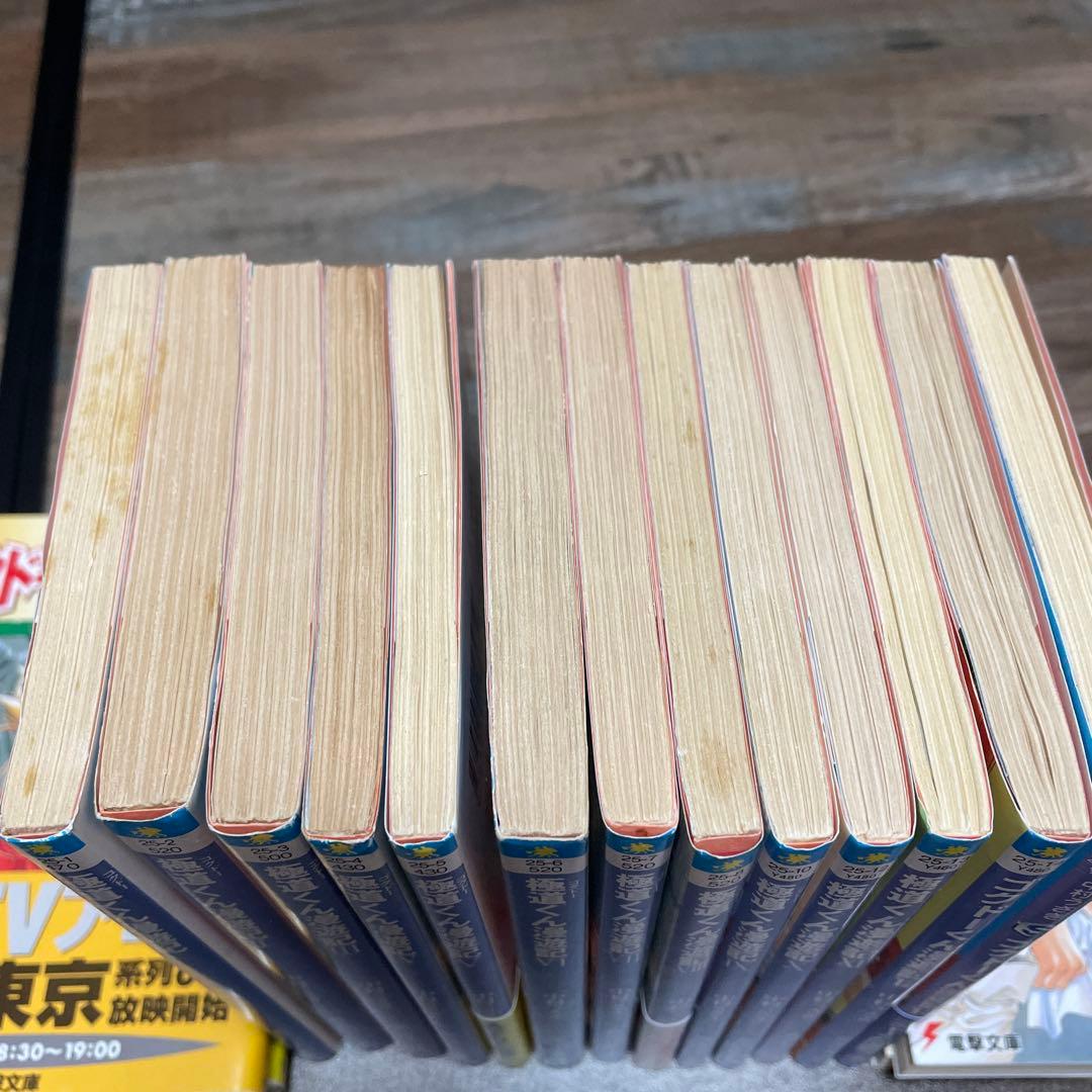 【初版有り】極道くん漫遊記全13巻セットと外伝4冊　合計17巻セット