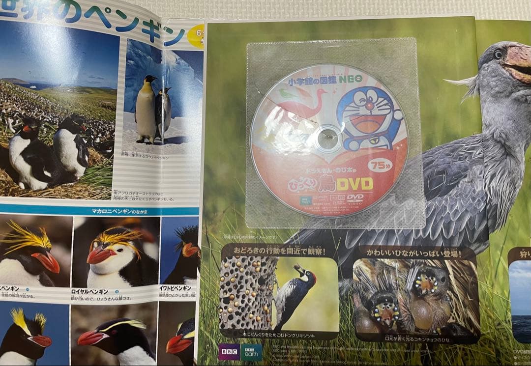 図鑑　小学館の図鑑 NEO 全10巻 + おまけ(魚DVD)