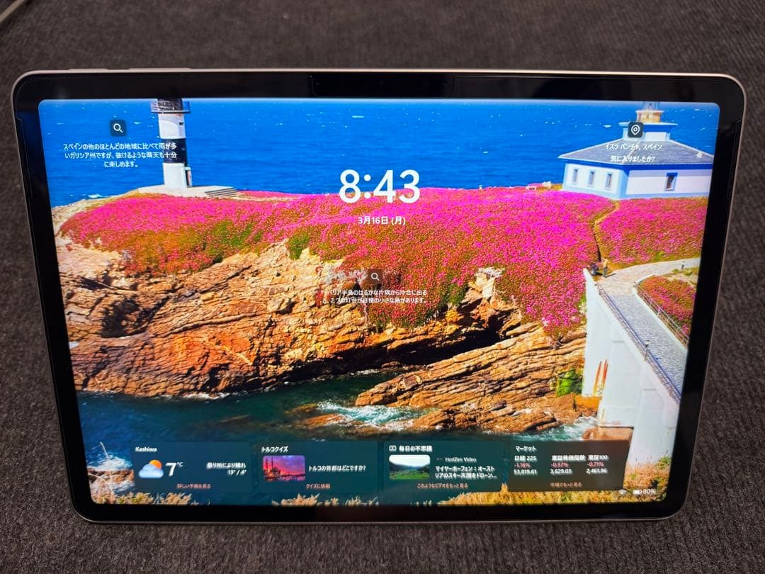 Microsoft Surface Pro 12 本体　メーカー保証あり