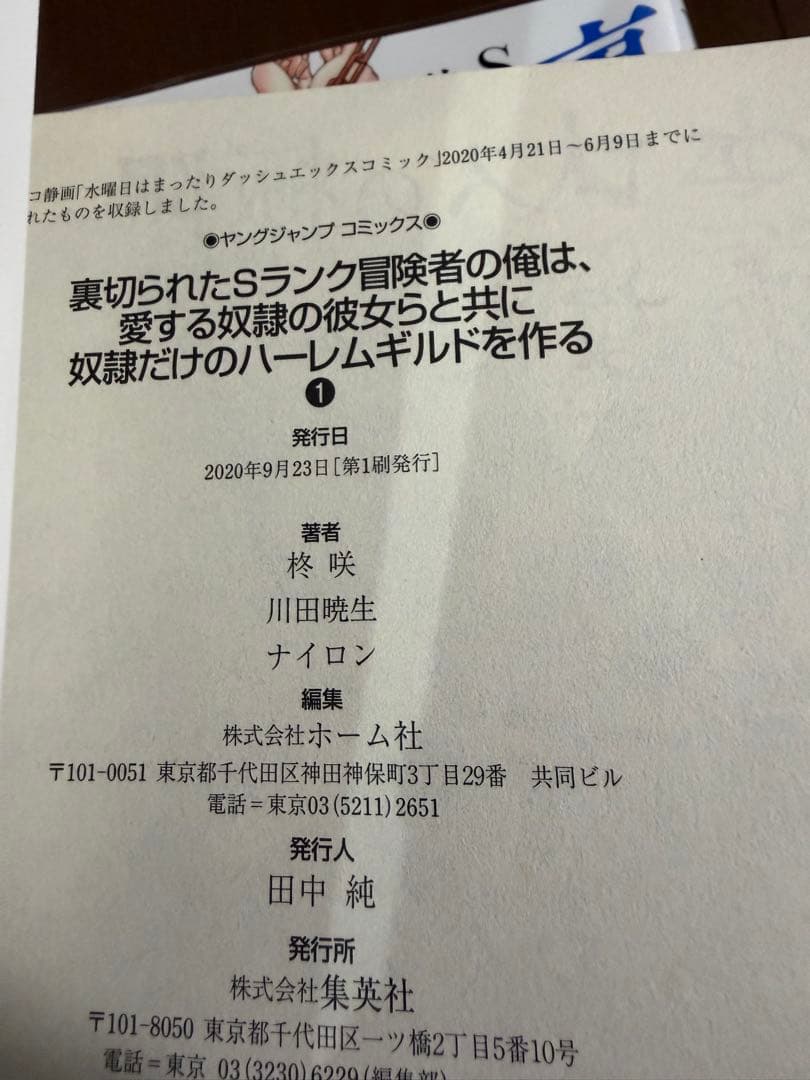 裏切られたSランク冒険者の俺は、愛する奴隷の彼女らと共に奴隷だけのハーレムギル…