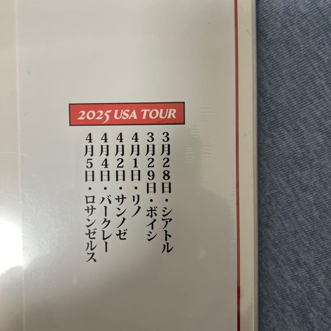 銀杏Boyzぶるぶる ブルー・ヴァイナル仕様 LP レコード 新品未使用品