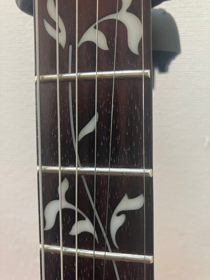 Ibanez/JEMJRSP-PK スティーヴ・ヴァイ
