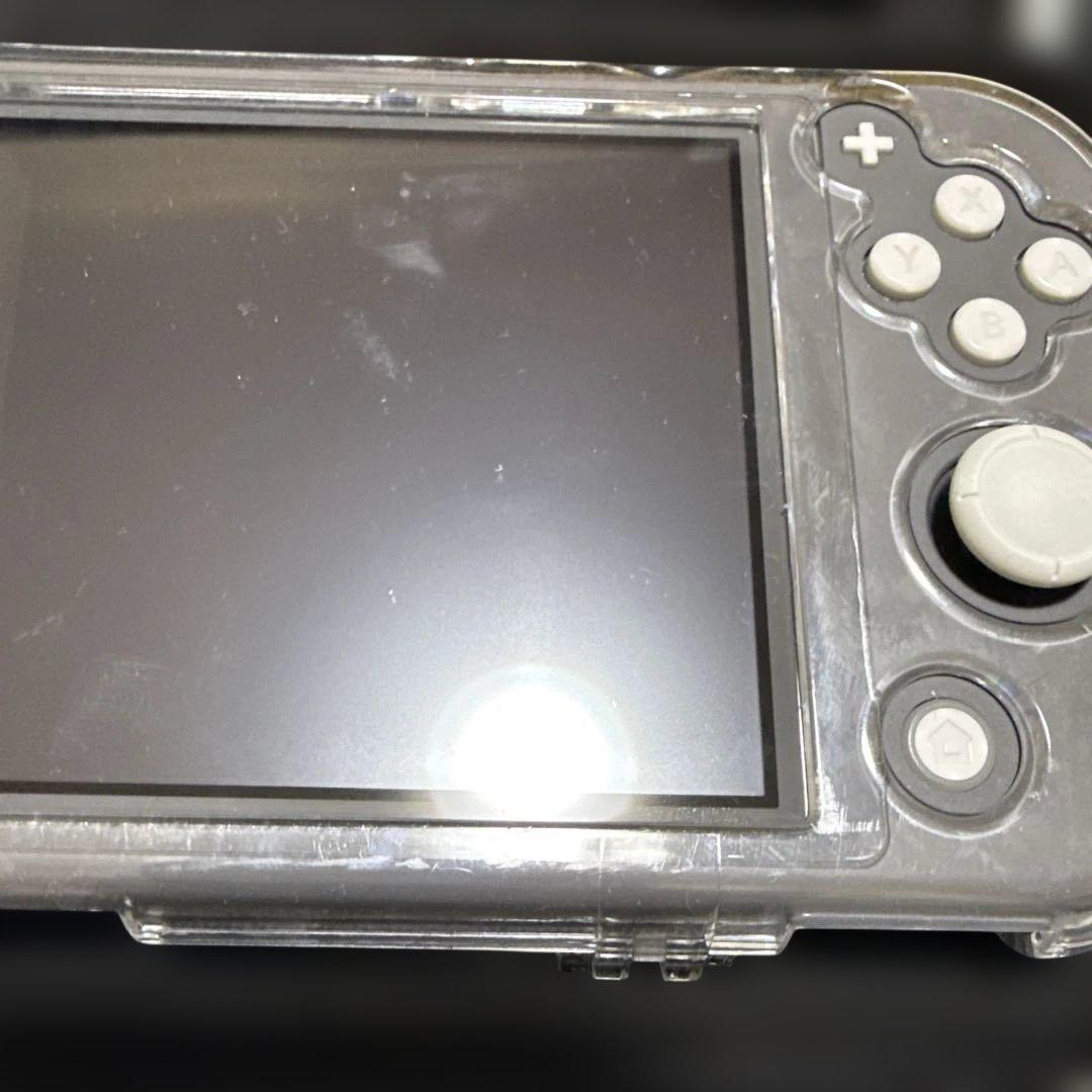 Nintendo Switch Lite グレー 本体 ACアダプター付き※箱無