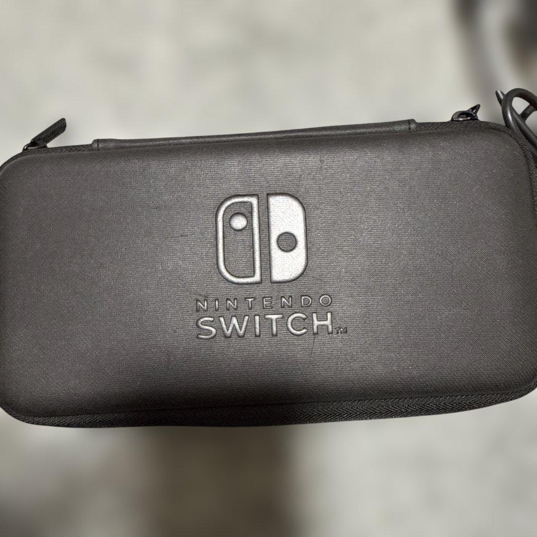 Nintendo Switch Lite グレー 本体 ACアダプター付き※箱無