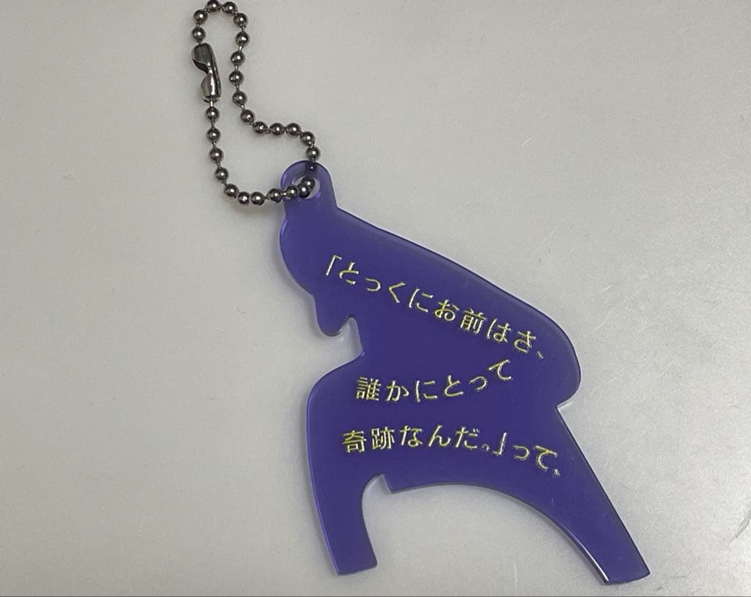 c*o様 【オークション形式】　Tele ロゴサコッシュ　キーホルダー　まとめ売