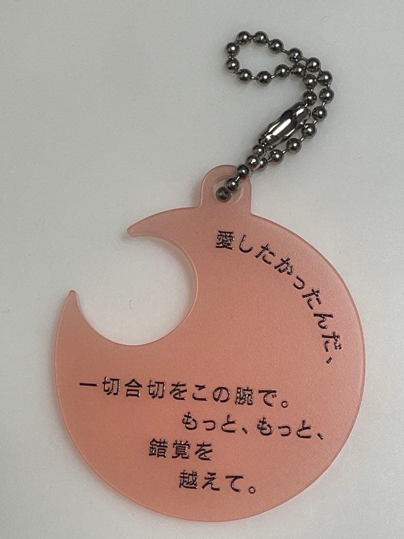 c*o様 【オークション形式】　Tele ロゴサコッシュ　キーホルダー　まとめ売