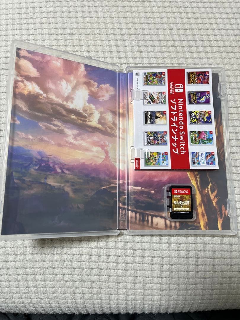 ゼルダの伝説 ブレス オブ ザ ワイルドエキスパンションパス
